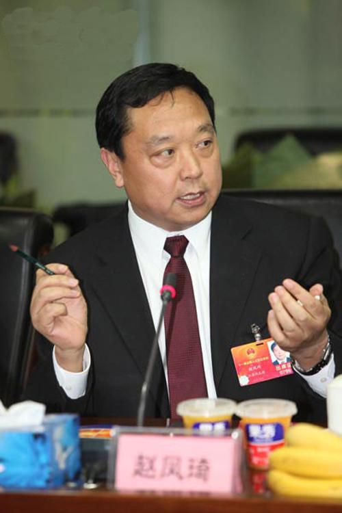 赵凤琦