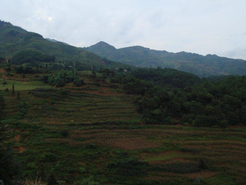 维则村