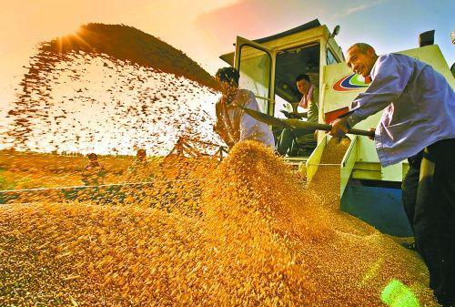 國家糧食安全政策專家咨詢委員會