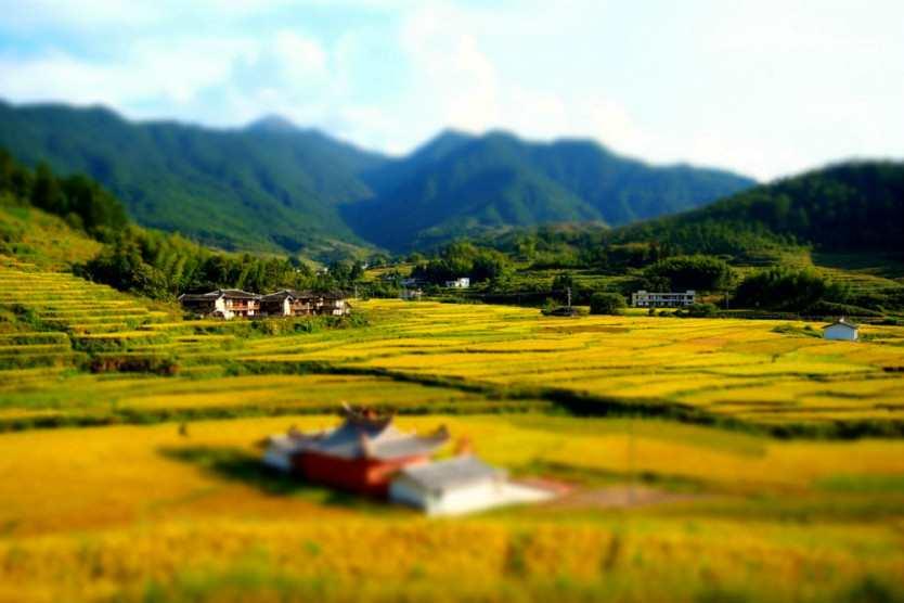 辉阳村