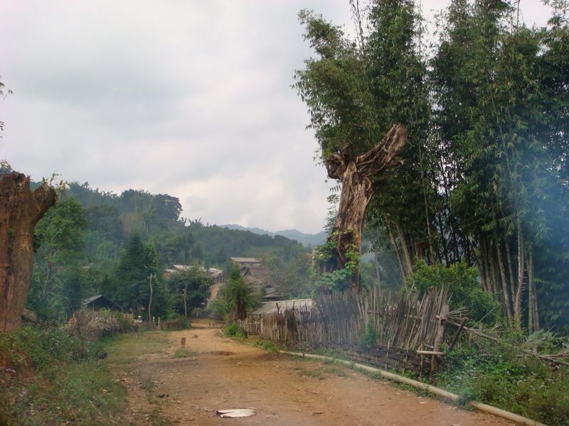 曼来村