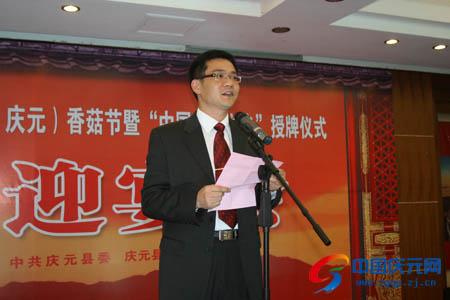 中国庆元网