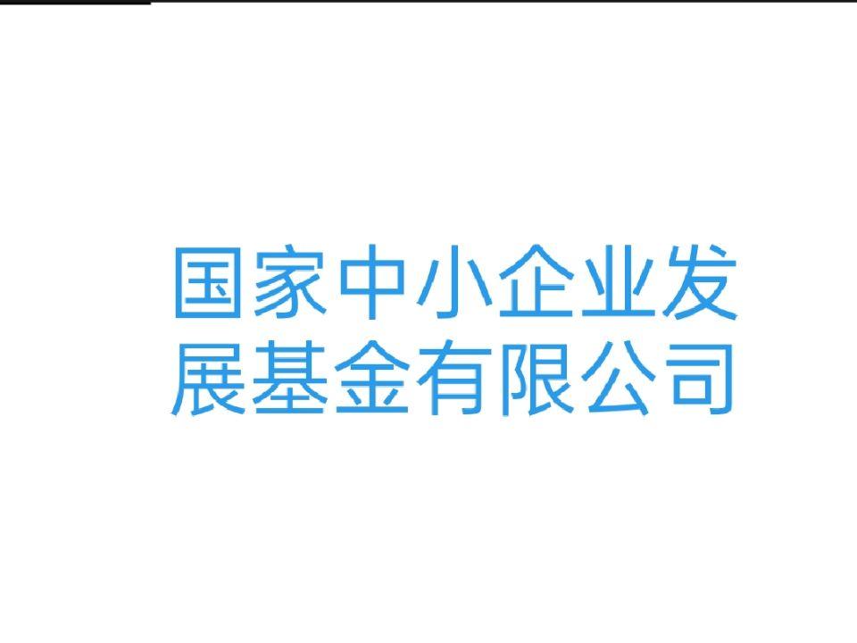 国家中小企业发展基金有限公司