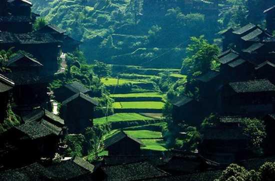 枫香寨