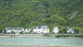 东城村