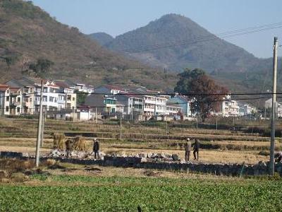 新魏村
