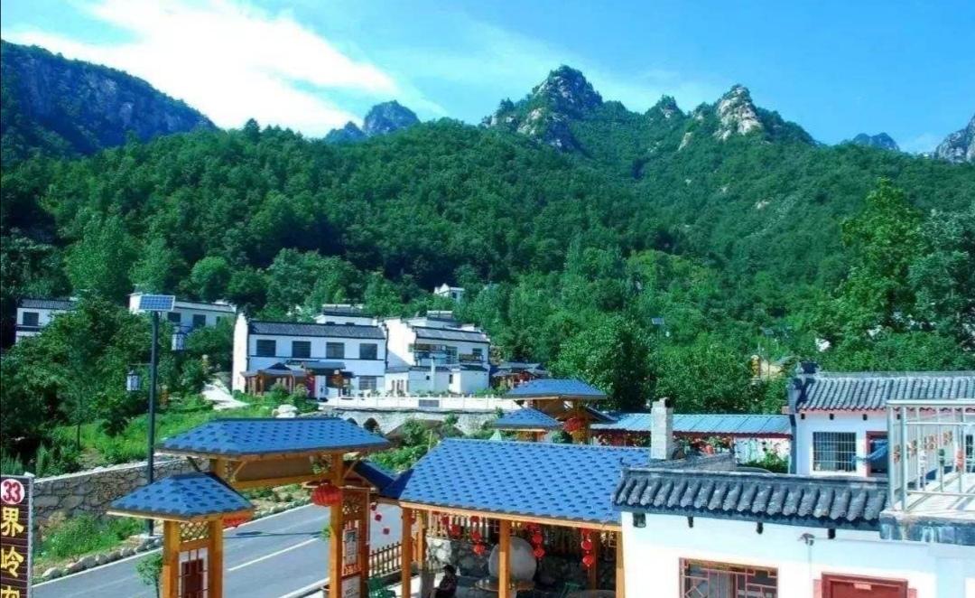 东桑园村
