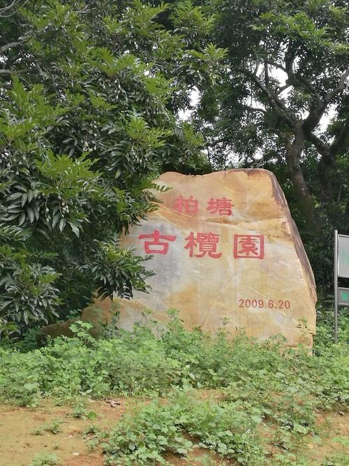 柏塘古榄园