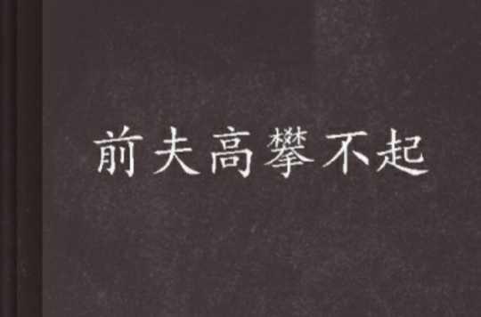 前夫高攀不起
