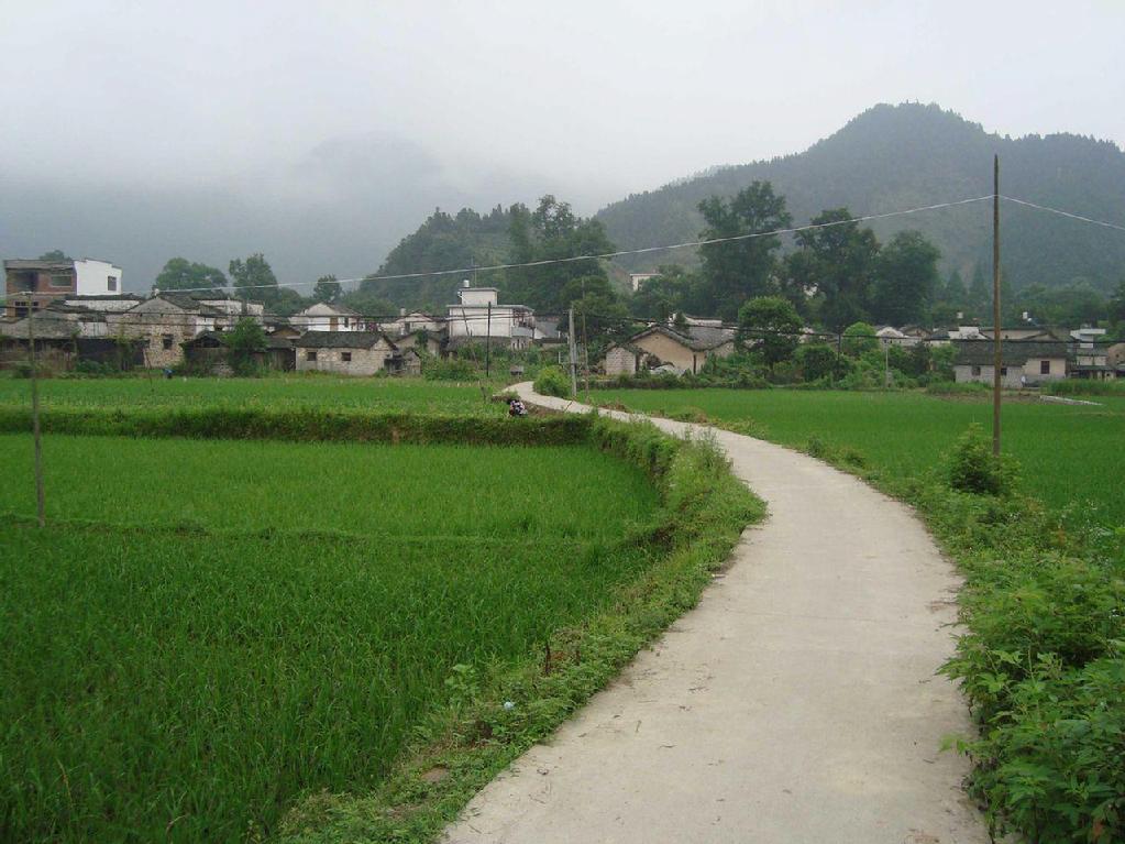 光荣村