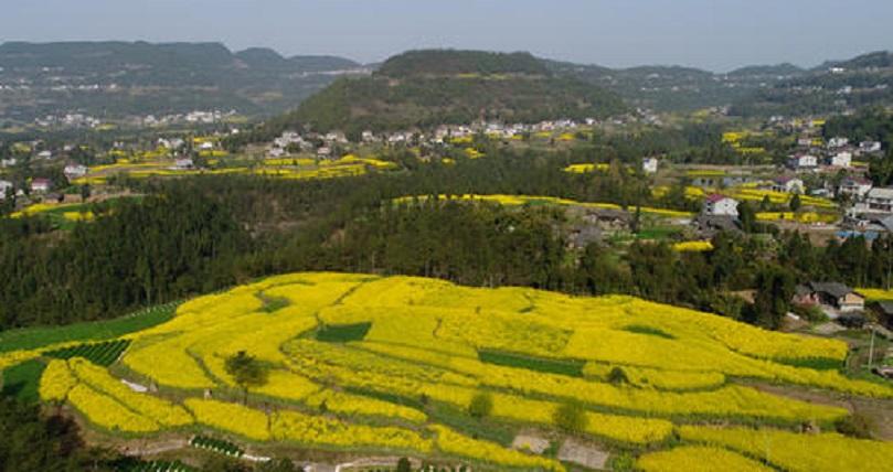 权家村