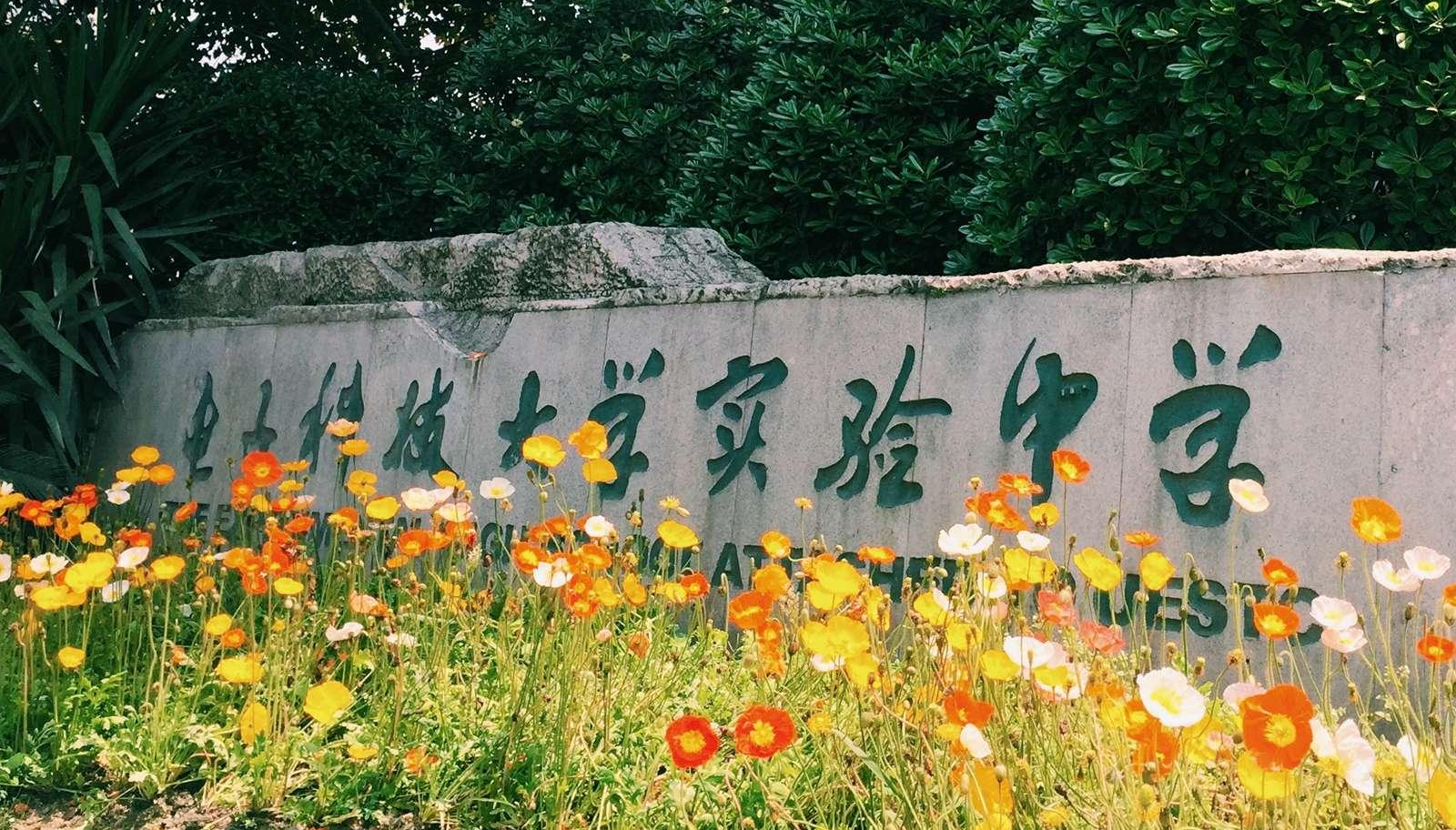 电子科技大学实验中学