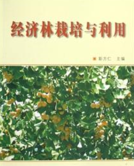 经济林培育与利用