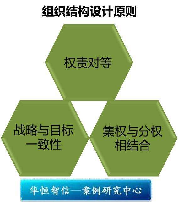 组织设计