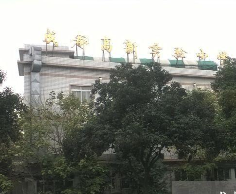 四川省成都高新区实验小学