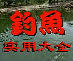 釣魚高手實用大全