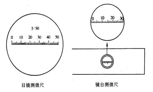 鏡臺測微尺
