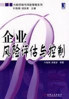 企业风险评估与控制