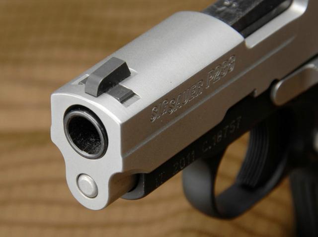 SIG P239