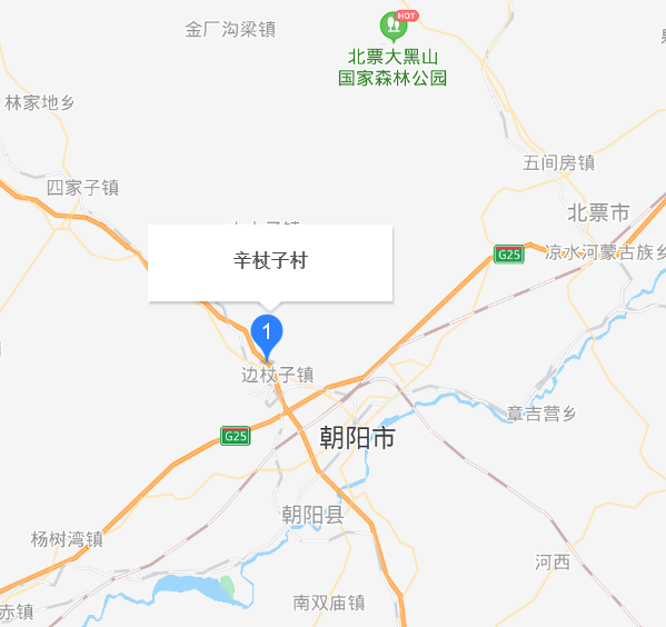 辛杖子村