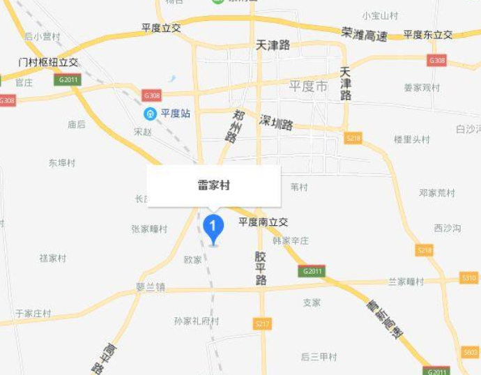 雷家村