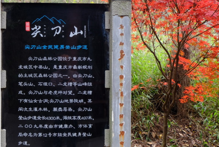 尖刀山森林公園