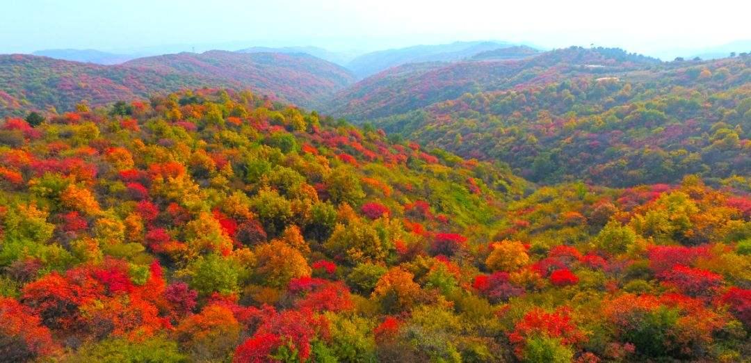 紅葉嶺風(fēng)景區(qū)