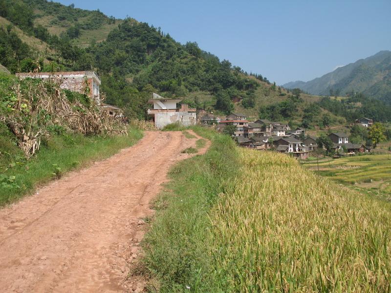 中厂村