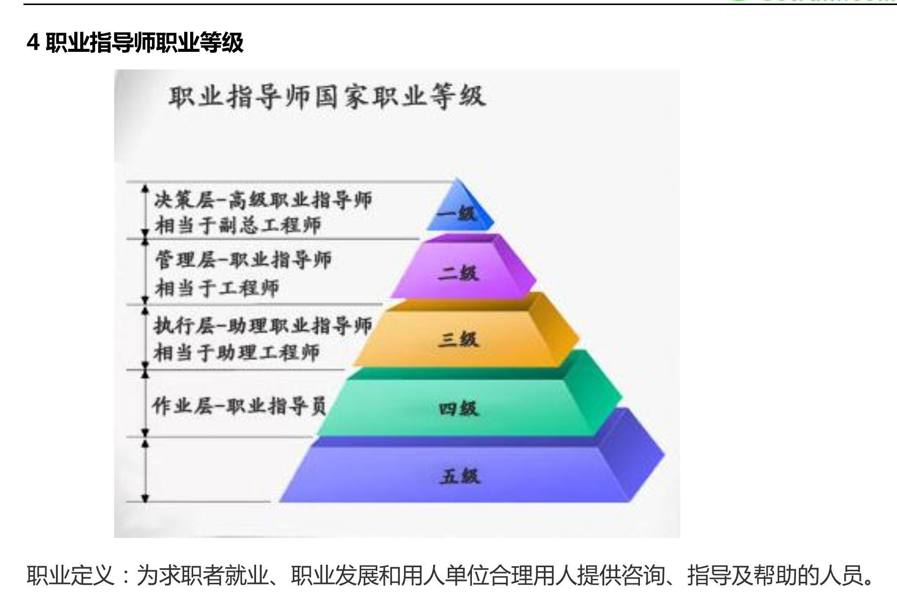 职业指导师