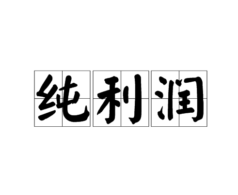 纯利润