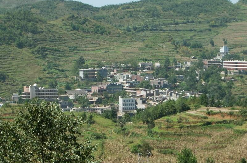 黑樹鎮(zhèn)