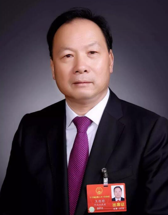 王連增