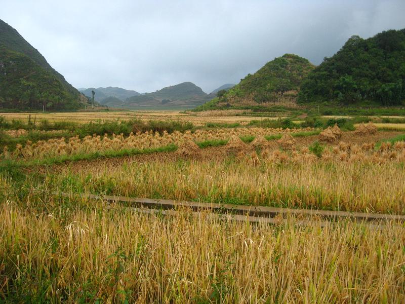 新寨村