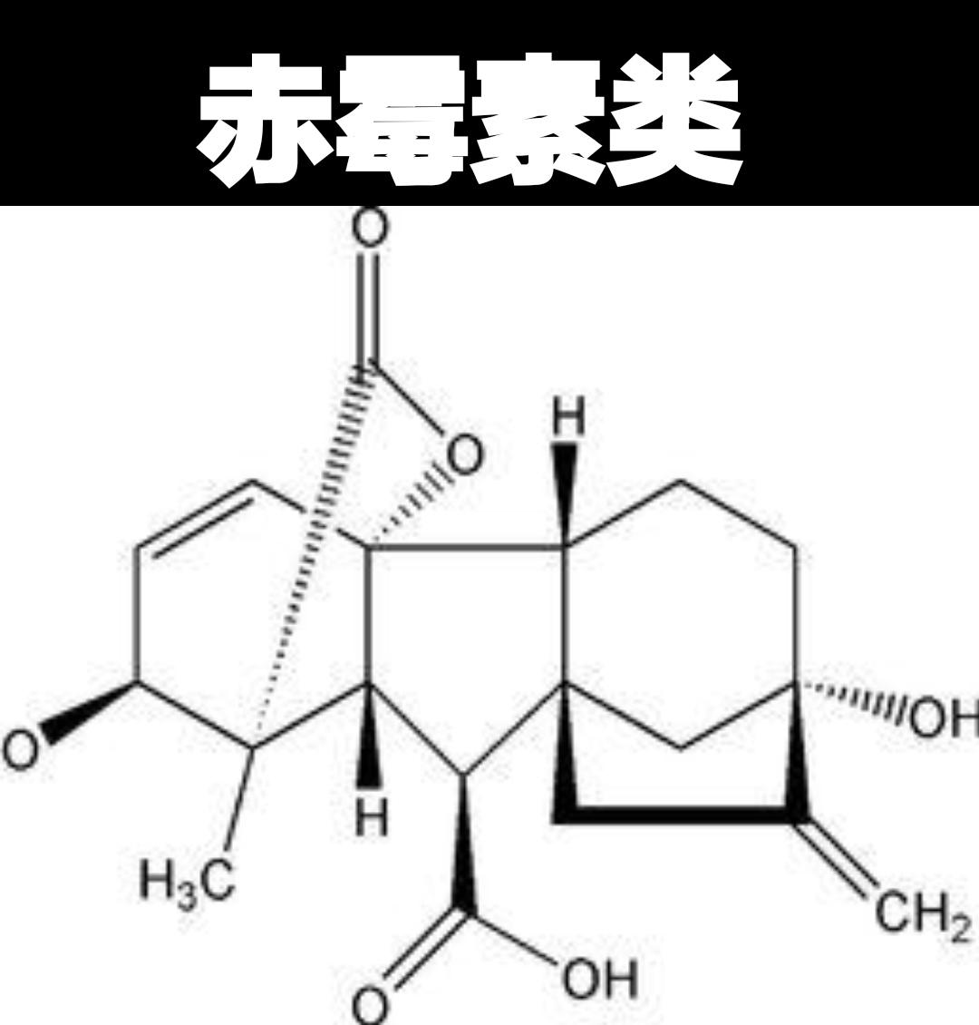 赤霉素類