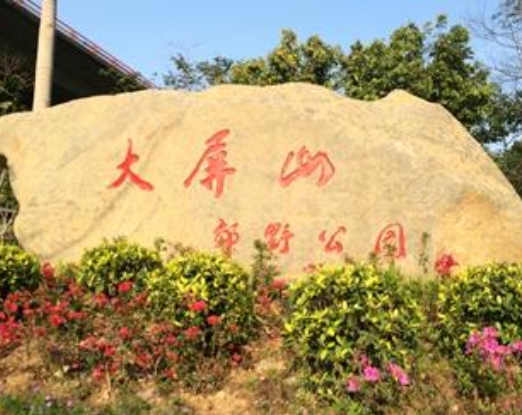 大屏山