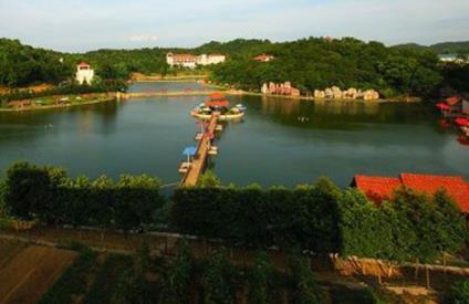 大明村