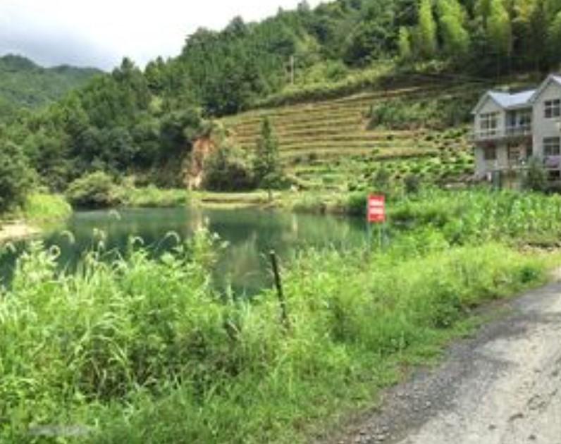 黄荆村