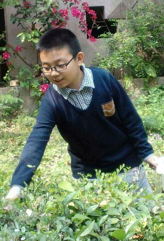 徐嘉宝