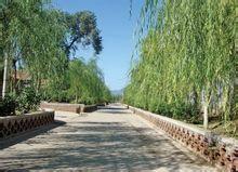 杏園村