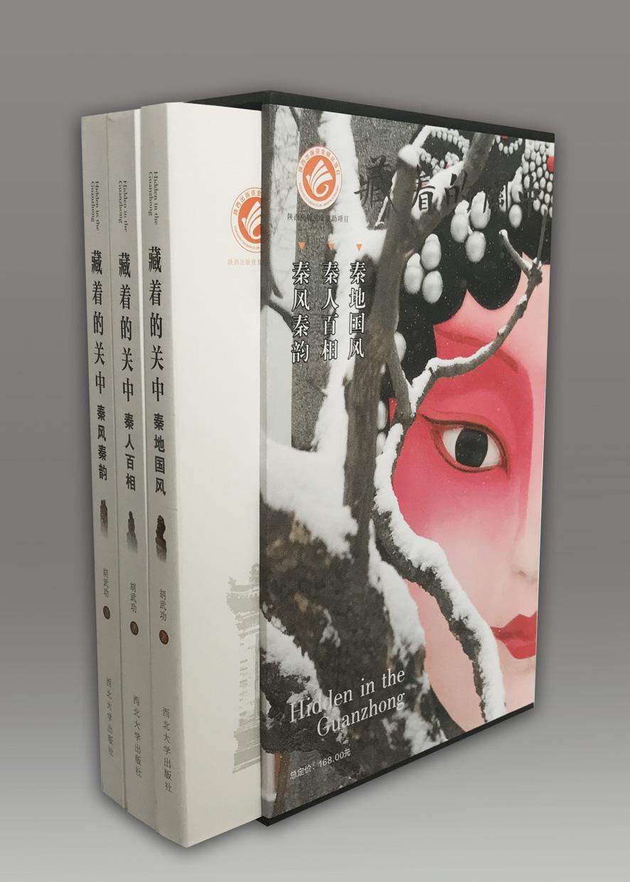 藏着的关中