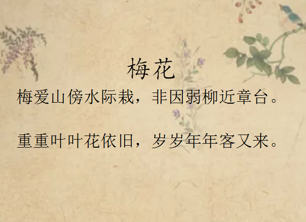 梅花