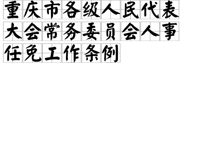 重慶市各級人民代表大會常務(wù)委員會人事任免工作條例