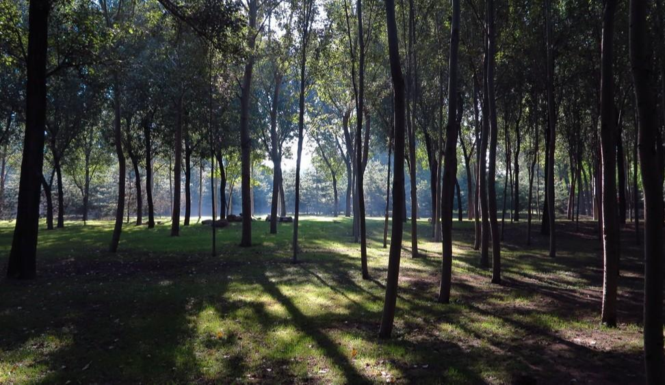 太原森林公园