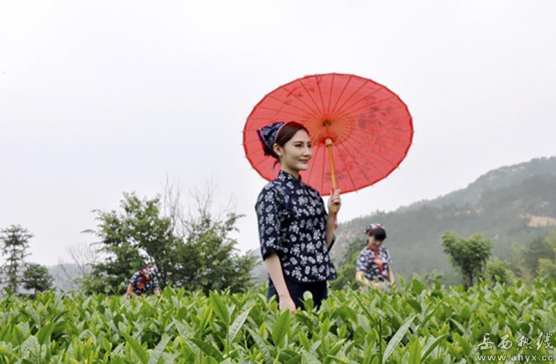 翠兰说
