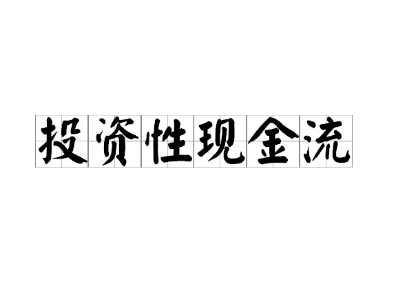 投资性现金流