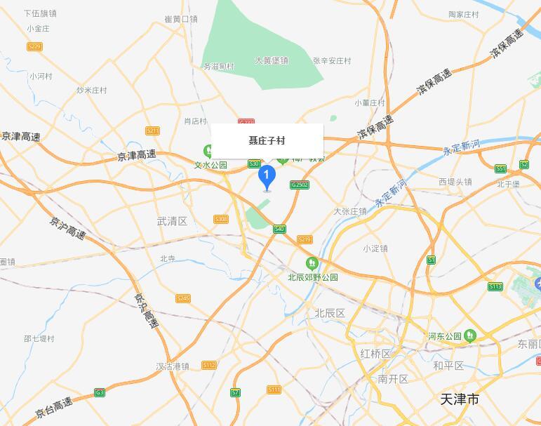 聶莊子村