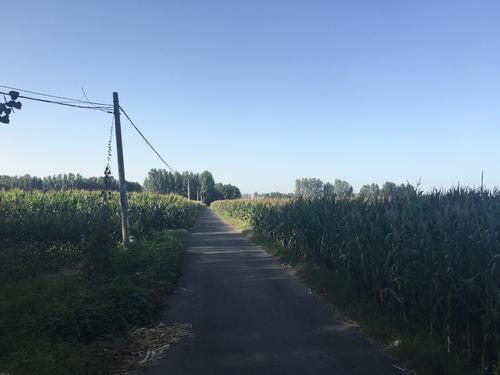 庙岗村