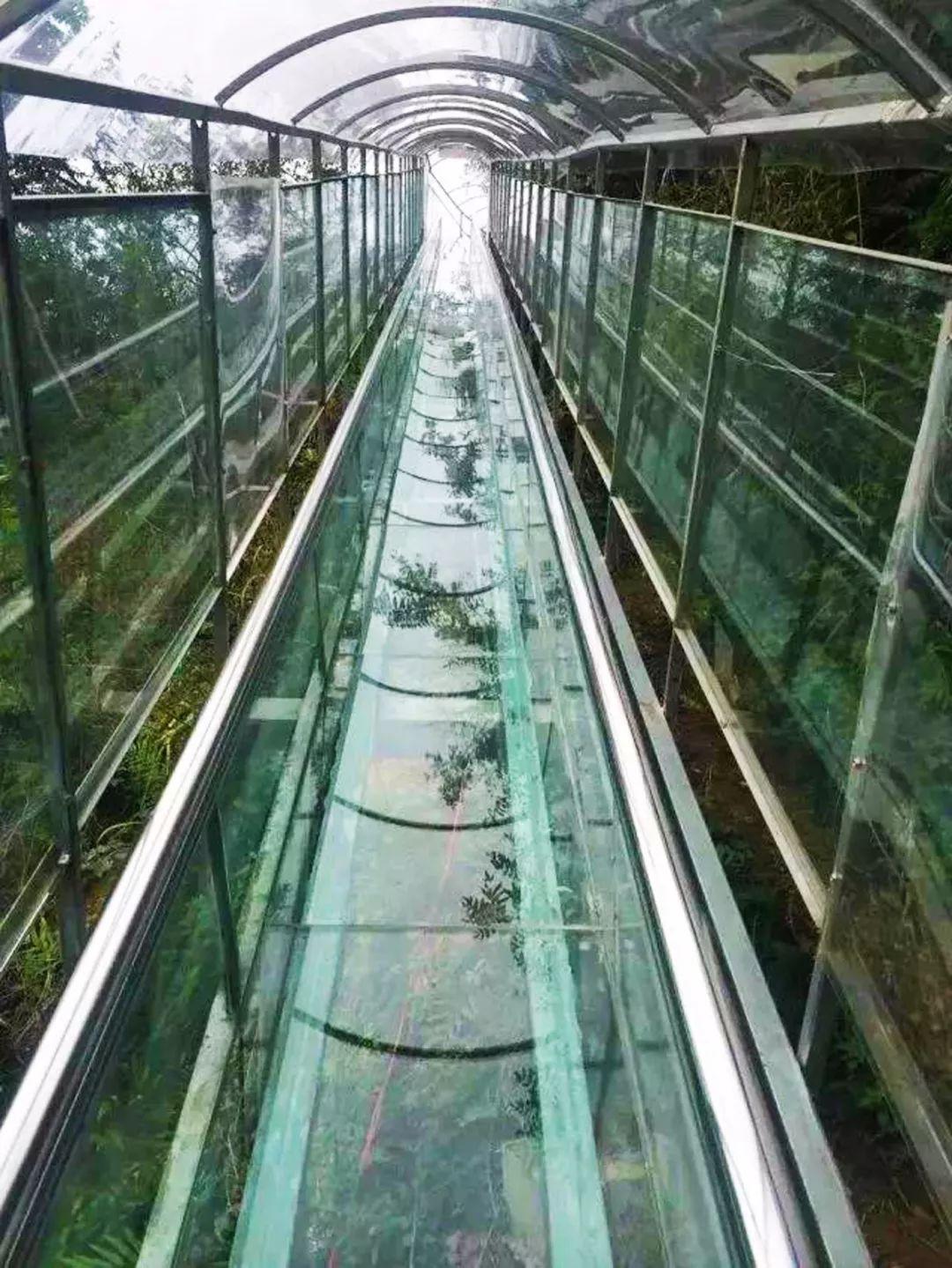 玻璃滑道