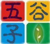深圳市五谷子商贸有限公司