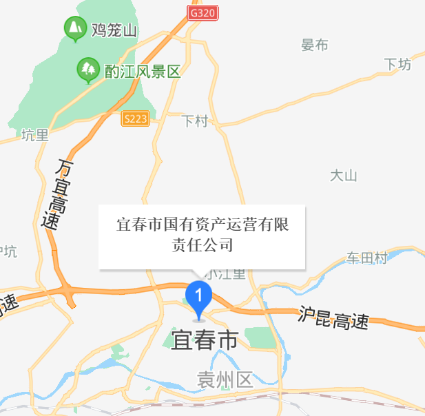 宜春市國有資產(chǎn)運營有限責(zé)任公司